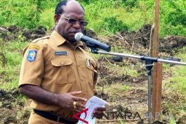 Kemenkes beri penghargaan SKDR kepada Dinkes Papua