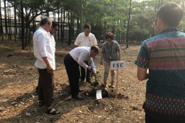 Hutan berkelanjutan diharapkan jadi "top mind"  Indonesia