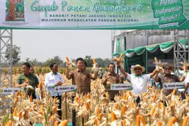 Guyub Panen Nusantara