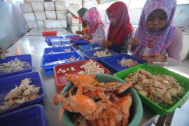 Produksi Daging Rajungan