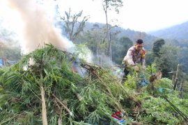 Satgas TNI AD fokuskan pencarian dan evakuasi korban bencana Sulteng