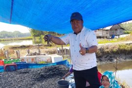 Jadwal Kerja Pemkot Bogor Jawa Barat Senin 22 Oktober 2018