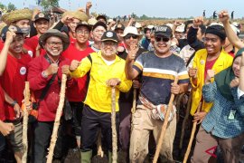 ULM kerahkan 5.000 mahasiswa menanam di lahan HPS Desa Jejangkit
