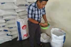 KOPTI : Harga kedelai masih stabil
