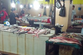 KPPN catat komoditi ikan di Malut tinggi