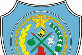 Sejarah berdirinya Pemerintah Kabupaten Labuhanbatu