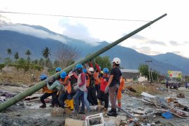 Pemulihan listrik di Kulawi belum tuntas