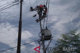 PLN Babel pulihkan sembilan gardu distribusi Palu