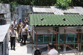 BKSDA Jember Suplai Pakan Ratusan Burung Langka yang Dikabarkan Terlantar