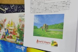 Bengkulu promosikan ekowisata gajah Seblat di Jepang