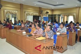 Pemkab Bangka luncurkan aplikasi "si mata kadal"