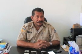 Kemenkes bawa konsultan ukur kekuatan tanah RS Vertikal Wamena