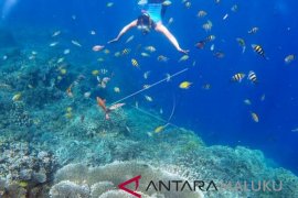 Pemkot Ternate segera bentuk satgas taman laut