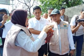 Pemerintah sebut hasil lab anggur impor negatif formalin