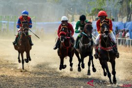 Kejurnas berkuda di Bantul dilarang digelar
