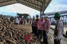 Bank BNI siap bantu petani kembangkan perkebunan