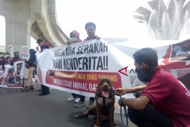 Yuk beri makan hewan liar jalanan