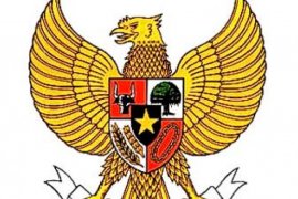 Sosialisasi Raperda Bangka Selatan Tentang Pengendalian dan Pencegahan Tuber kulosis
