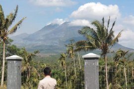 Hutan di Lereng Gunung Lemongan Lumajang Terbakar