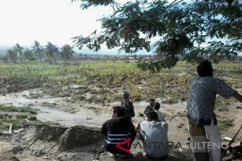 Dusun II Jonoge berubah jadi kebun jagung