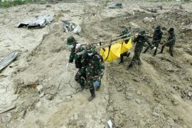 Basarnas: Soal Lion Air, Indonesia Belum Perlu Bantuan Asing