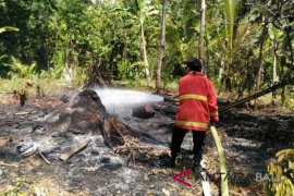 Lagi, kebun warga Jembrana terbakar