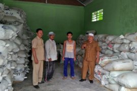 Harga Komoditi Tapsel 1 Oktober