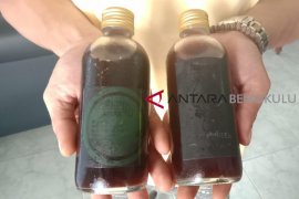 Kopi "cold brew" Bengkulu incar pasar premium