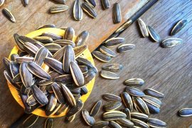 Suka ngemil kuaci? Ini manfaatnya