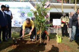 IPB gelar aksi konservasi dan penanaman 100 pohon langka Indonesia