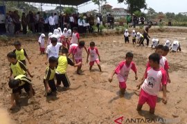 20-an pelajar SD belajar tanam padi organik