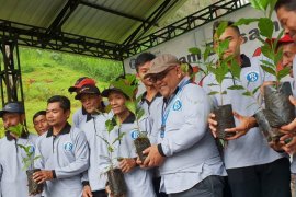 BI Kediri Tanam 25 Ribu Bibit Kopi Arabika di Lereng Gunung Wilis