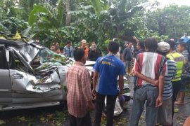 Seorang Warga Kediri Meninggal Setelah Mobilnya Tertimpa Pohon Tumbang