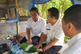 Semarang bangun 5 lapangan futsal kelurahan