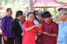 Gubernur Koster dorong masyarakat beternak sapi