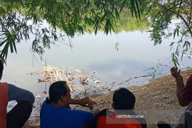BKSDA Perkirakan Buaya di Bojonegoro dari Muara