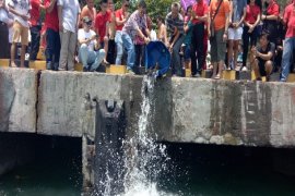 Umat Buddha gelar ritual "Pelepasan Ikan" di Bali
