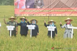 Program swasembada pangan Bogor capai 95,5 persen