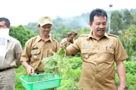 Nagari Mandiri Pangan dicanangkan di Padang Panjang