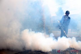 Antisipasi DBD Dinkes Makassar kerahkan Tim Fogging