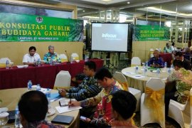 Budidaya Tanaman Gaharu Di Lampung Berkembang Pesat