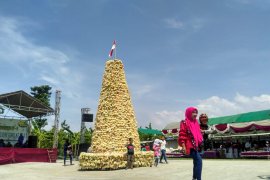 Belimbing 1,5 Ton Semarakkan Festival Belimbing Bojonegoro (Video)