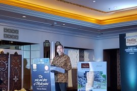 Dubes Arto targetkan penerbangan langsung  Indonesia-India