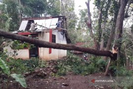 BPBD Situbondo catat enam kecamatan berpotensi terjadi angin puting beliung