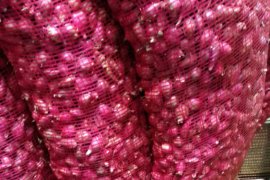 Harga bawang merah di Bandarlampung naik