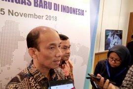 Giant oil discovery possible in Indonesia: Arcandra
