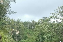 Sempat tertimbun longsoran material ruas lalu lintas Bukittinggi-Pasaman buka-tutup