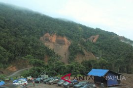 PJN belum proteksi kawasan longsor jalan transPapua