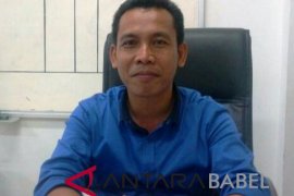 Dinsos : kasus kekerasan terhadap perempuan dan anak di Pangkalpinang turun