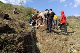 Cegah Longsor, Warga Trenggalek Gotong Royong Tutup Retakan Tebing